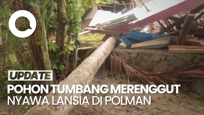 Video: Seorang Lansia Tewas-2 Rumah Rusak Akibat Pohon Tumbang di Polman
