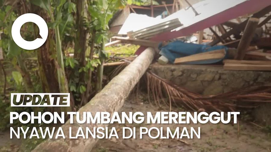 Video: Seorang Lansia Tewas-2 Rumah Rusak Akibat Pohon Tumbang di Polman