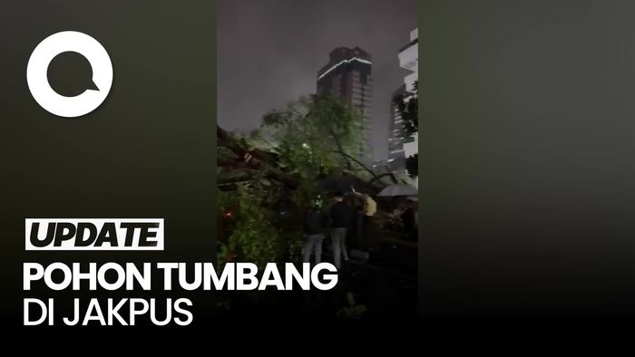 Video: Pohon Tumbang Timpa 2 Mobil di Kebon Sirih, Ada Korban Terjebak