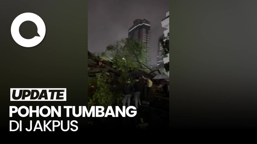 Video: Pohon Tumbang Timpa 2 Mobil di Kebon Sirih, Ada Korban Terjebak