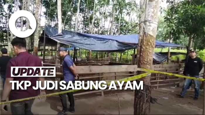 Video: Lokasi Sabung Ayam TKP Penembakan 3 Polisi di Way Kanan
