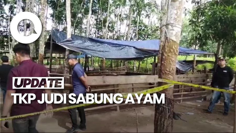 Video: Lokasi Sabung Ayam TKP Penembakan 3 Polisi di Way Kanan