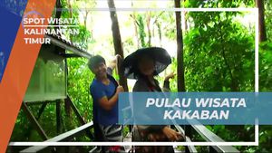 Berkeliling Indahnya Pulau Wisata Kakaban di Kalimantan Timur