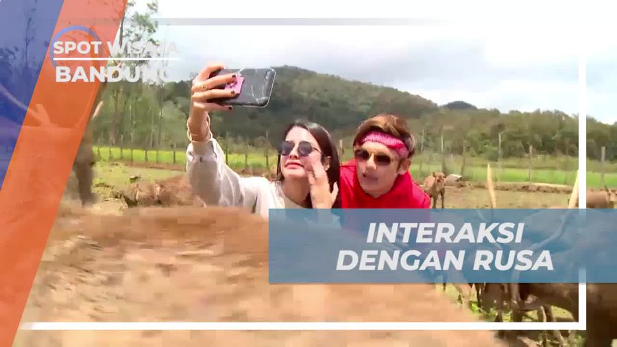 Bersendau Sambil Memberi Makan Rusa di Ranca Upas, Bandung
