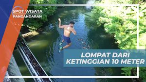 Terjun Bebas Dari Jembatan Curug Menggugah Adrenalin di Pangandaran