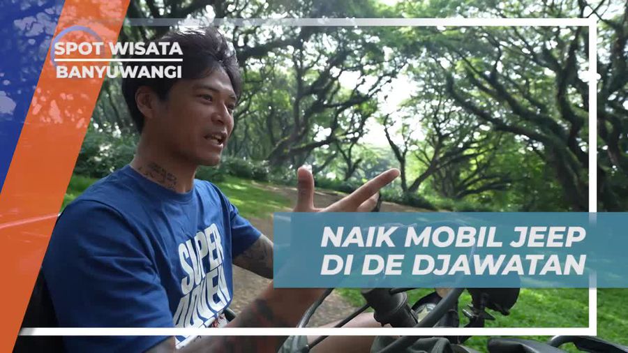 Menjelajahi De Djawatan Forest dengan Jeep di Banyuwangi