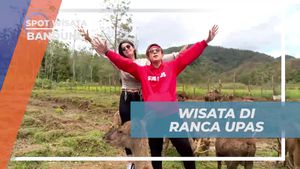Menikmati Keindahan Rusa Sambil Berwisata di Ranca Upas, Bandung