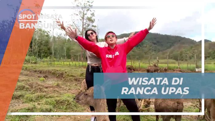 Menikmati Keindahan Rusa Sambil Berwisata di Ranca Upas, Bandung
