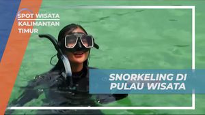 Snorkeling Seru Menelusuri Keindahan Alam di Pulau Wisata Kakaban, Kalimantan Timur