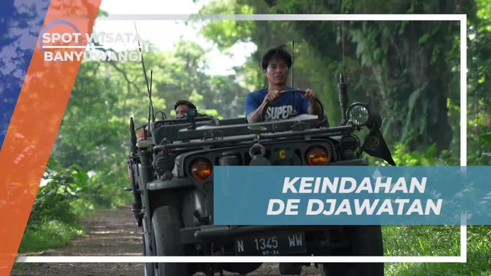 Menyaksikan Pesona De Djawatan Forest di Banyuwangi
