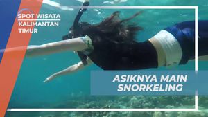 Menyelam di Keindahan Laut Khas Maratua, Kalimantan Timur