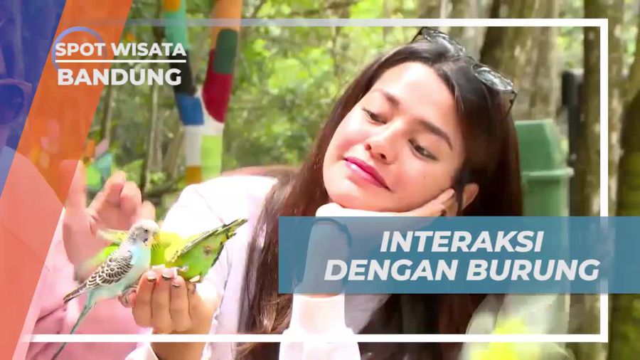 Liburan Seru Menghadapi Burung di Taman Burung, Bandung