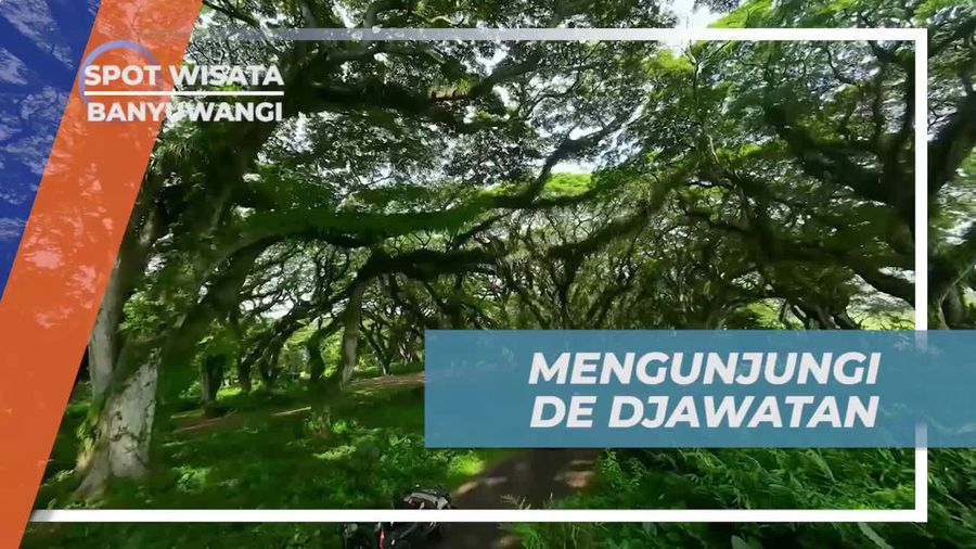 Mengexplorasi Keindahan De Djawatan di Banyuwangi