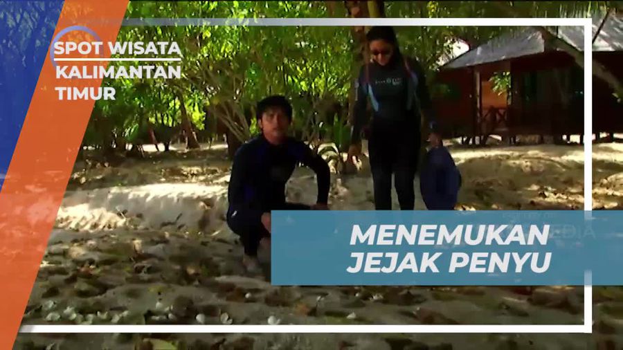Mengikuti Jejak Penyu di Pulau Sangalaki, Kalimantan Timur
