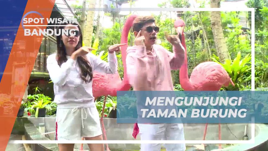 Bersantai dan Berinteraksi dengan Burung di Taman Burung Bandung
