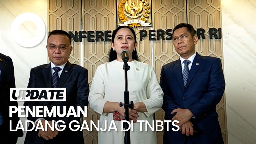 Video Ketua DPR Soal Ladang Ganja di TNBTS: Selidiki dan Bongkar! 