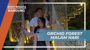 Menikmati Keindahan Malam di Orchid Forest, Bandung