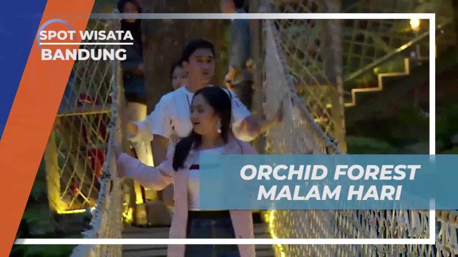 Menikmati Keindahan Malam di Orchid Forest, Bandung