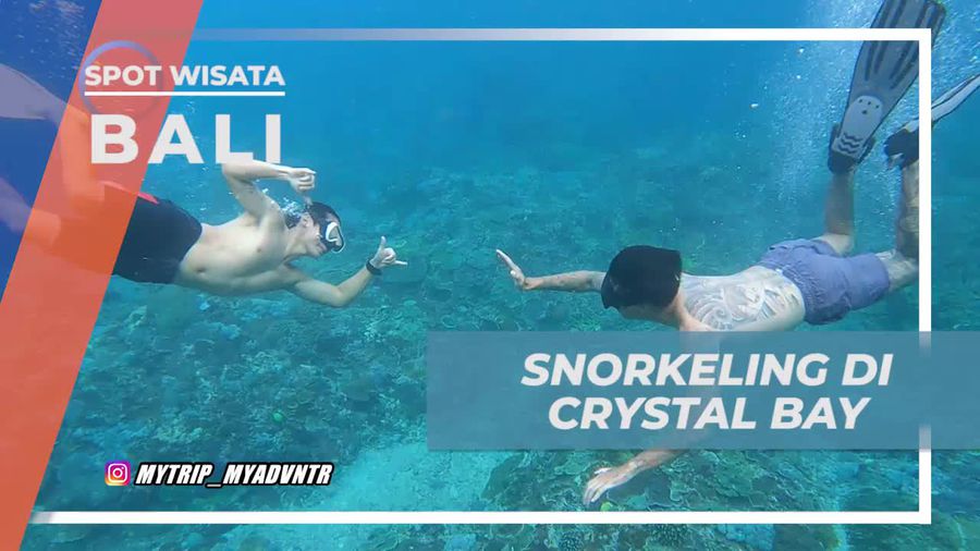 Snorkeling Menggembirakan di Laut Jernih Crystal Bay, Bali