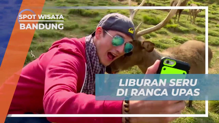 Bermain Seru dan Memberi Makan Rusa di Ranca Upas, Bandung
