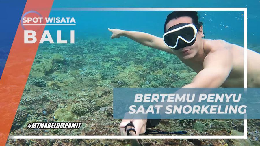 Menemukan Keindahan Bawah Laut Crystal Bay dengan Penyu yang Menawan, Bali