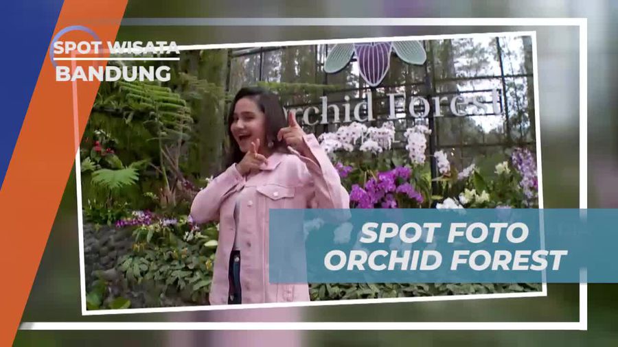 Berfoto di Spot Instagramable Orchid Forest, Bandung