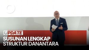 Video: Rosan Umumkan Struktur Lengkap Danantara, Pastikan Track Record Bersih