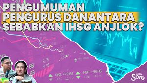 Rosan Bantah Danantara Sebabkan IHSG Anjlok