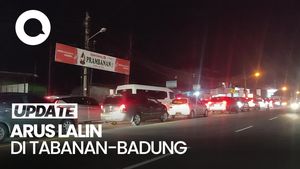 Video: Puncak Arus Mudik di Bali, Lalin Tabanan-Badung Padat