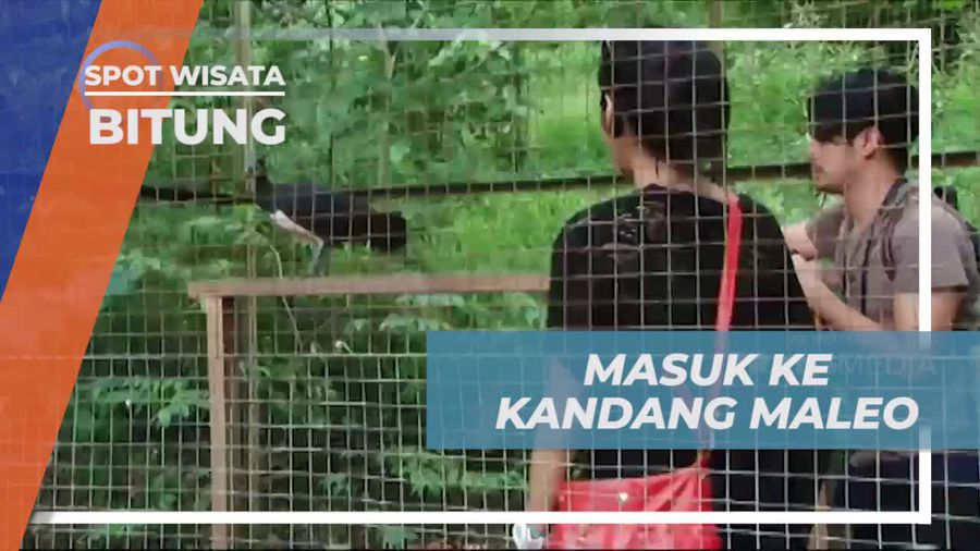 Mengunjungi Kandang Burung Maleo di Taman Tandurusa, Bitung