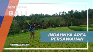 Menikmati Keindahan Area Persawahan di Lemukih, Bali