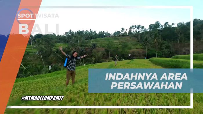Menikmati Keindahan Area Persawahan di Lemukih, Bali