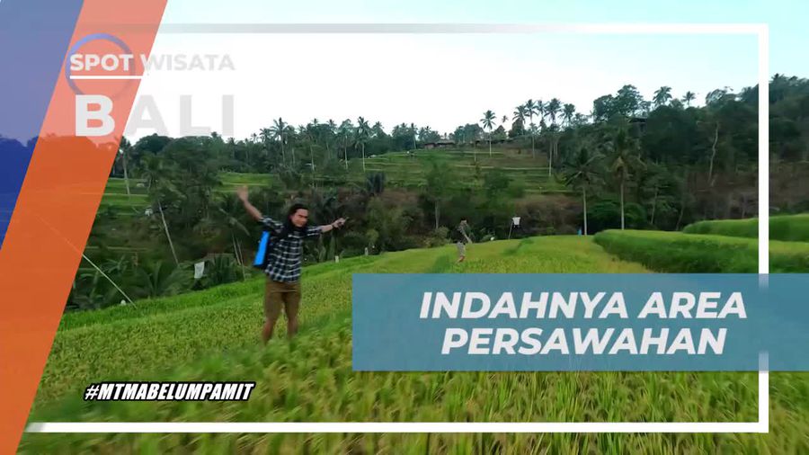 Menikmati Keindahan Area Persawahan di Lemukih, Bali