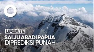 Video: Salju Abadi di Puncak Jayawijaya Diprediksi Punah pada 2026