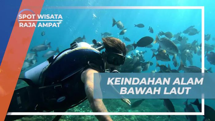 Mengagumi Keindahan Alam Bawah Laut yang Memukau di Raja Ampat