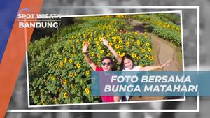Berfoto Ceria Bersama Bunga Matahari di Bandung