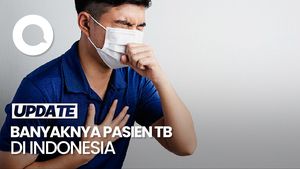 Video: Indonesia Jadi Negara Kedua dengan Penderita TB Terbanyak di Dunia
