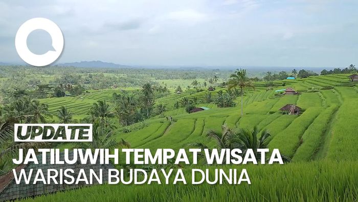 Video Kunjungan Wisatawan Ke DTW Jatiluwih Masih Normal