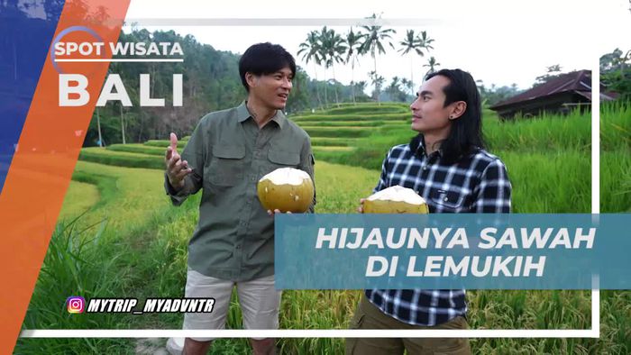 Merasakan Kedamaian di Hijaunya Sawah, Lemukih, Bali