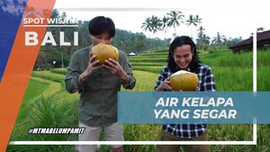 Meneguk Kesegaran Air Kelapa di Indahnya Sawah, Lemukih, Bali