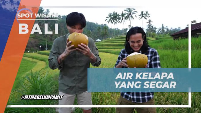 Meneguk Kesegaran Air Kelapa di Indahnya Sawah, Lemukih, Bali