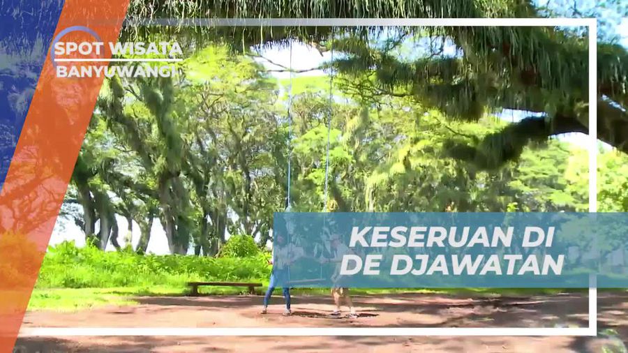 Menyaksikan Keajaiban Alam di De Djawatan, Banyuwangi  