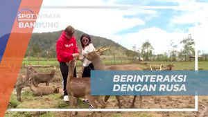 Berinteraksi Ceria dengan Rusa di Bandung  