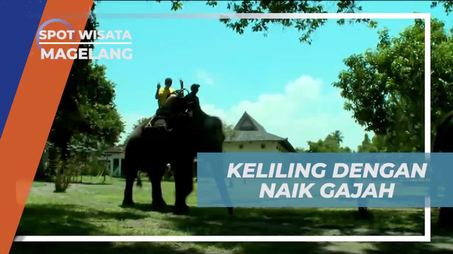 Menunggangi Gajah untuk Menelusuri Candi Borobudur, Magelang
