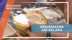 Menikmati Segarnya Air Kelapa Muda di Pantai Pulau Tikus, Bengkulu  