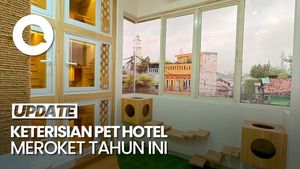Video: Laris Manis Pet Hotel di Libur Lebaran 2025