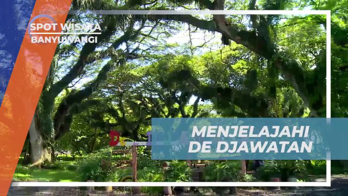 Menjelajahi Keunikan De Djawatan di Banyuwangi  