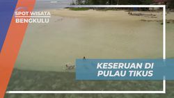 Menikmati Serunya Berenang di Pantai Pulau Tikus, Bengkulu  