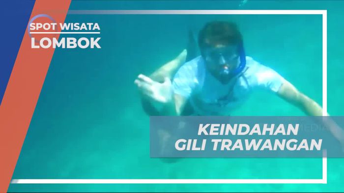 Berenang dengan Gembira di Keindahan Gili Trawangan, Lombok
