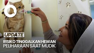 Video: Jangan Tinggalkan Hewan Peliharaan di Rumah saat Mudik Lebaran